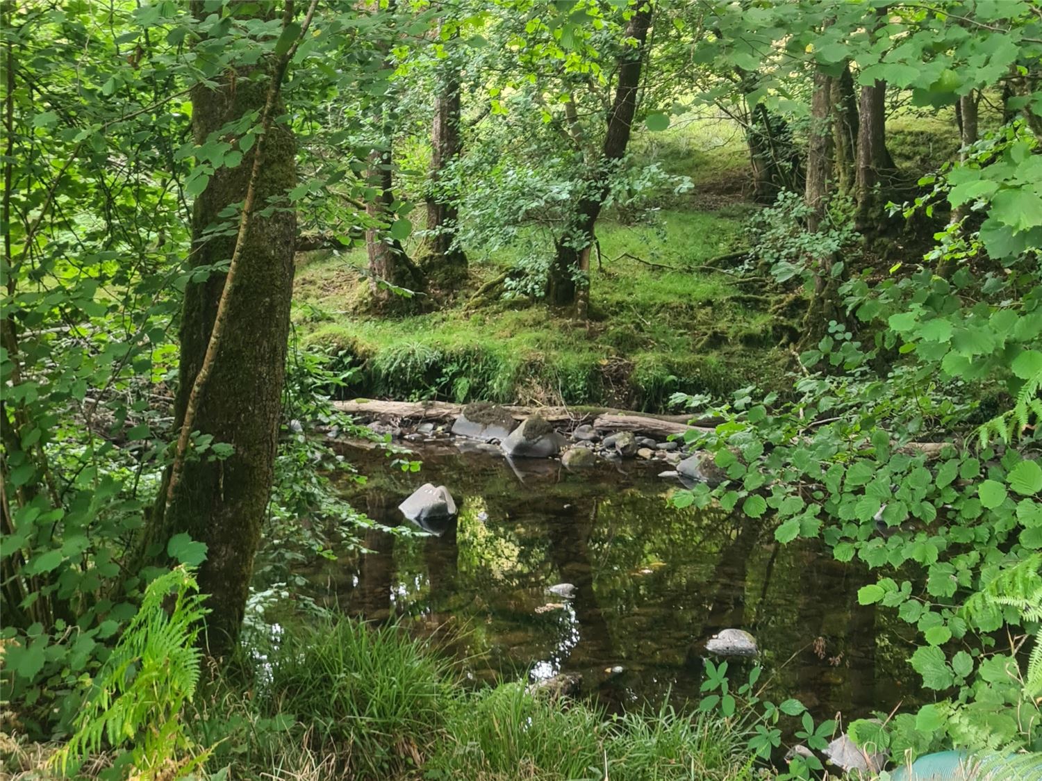 Tranquil river next to Henbont Cabin, perfect for relaxing, picnics and enjoying the natural Welsh landscape in Carmarthenshire