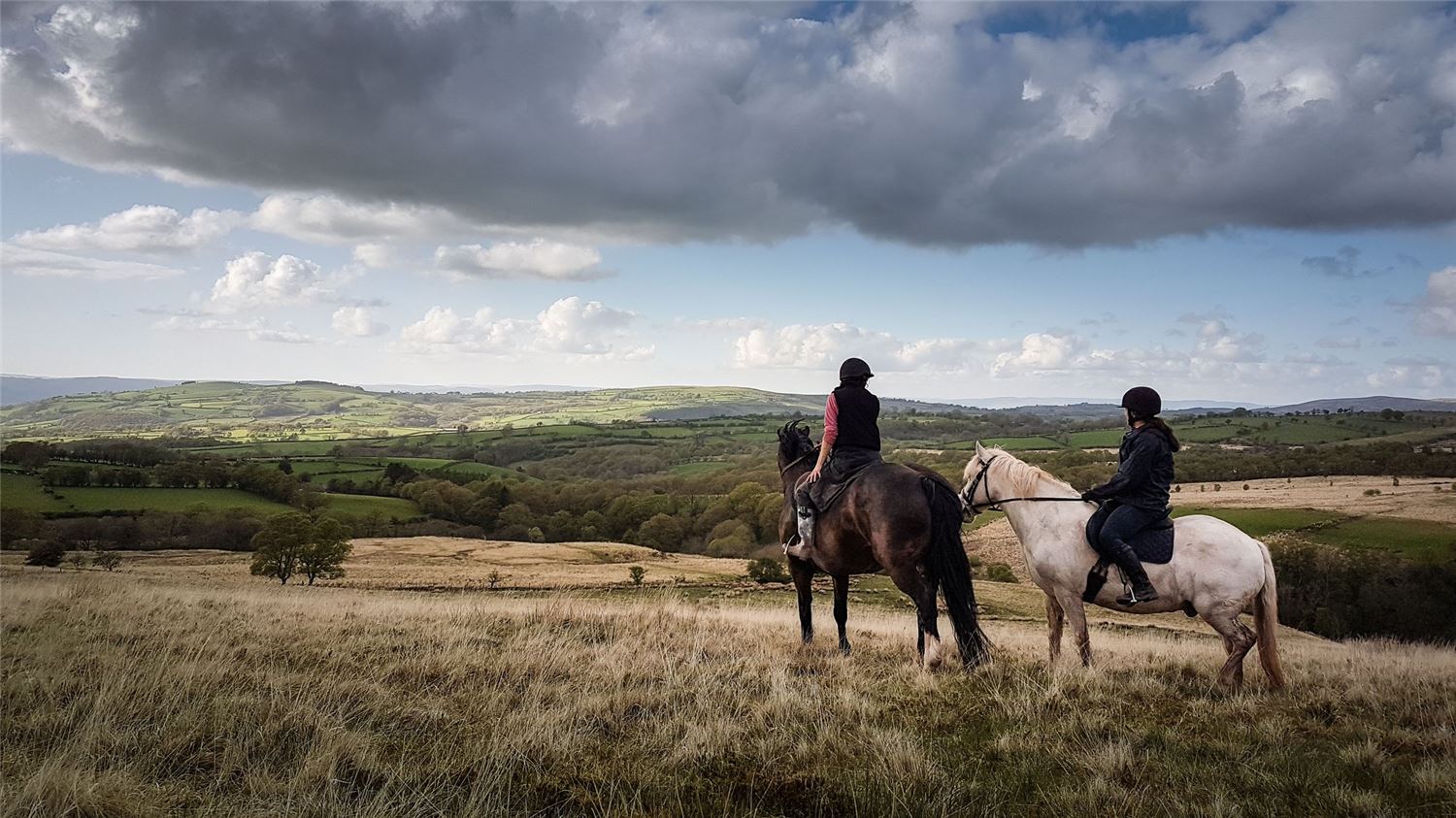 Gathering sheep on horseback at Henbont, showing traditional Welsh hill‑farm practices and Carmarthenshire rural heritage.