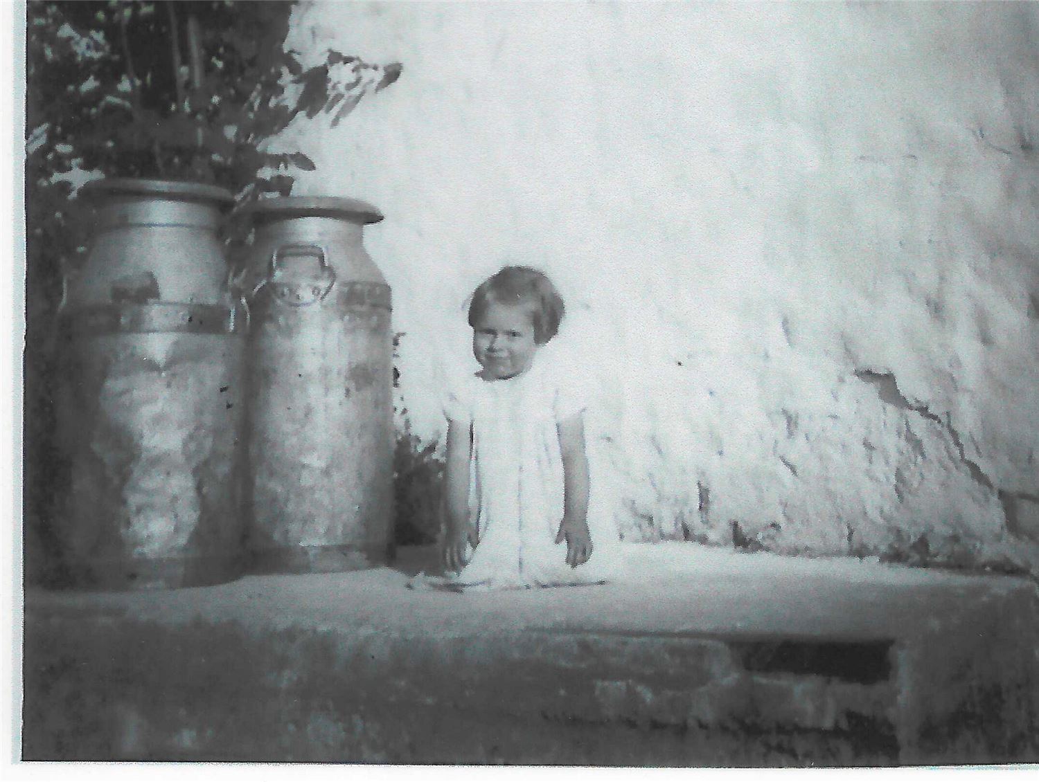 Historic 1960s Henbont farm photo featuring a girl with milk churns outside a traditional Welsh farm building
